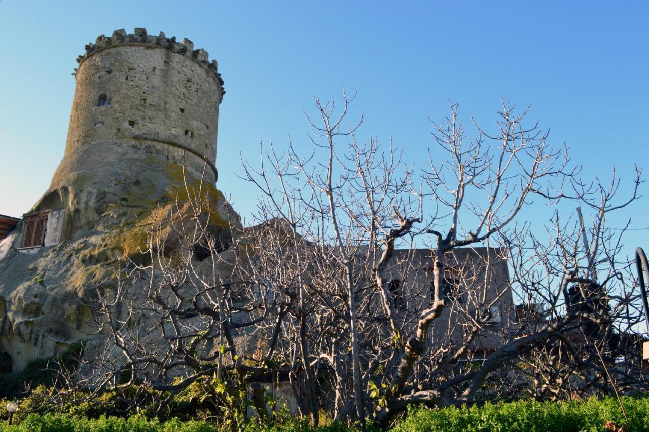 L'Agrumeto Forio di Ischia Exterior foto
